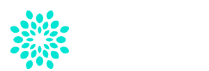 Burein
